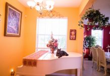 Pet-Friendly Home Interior Design Ideas