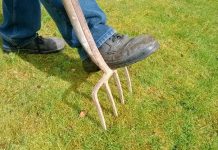 drainage clog